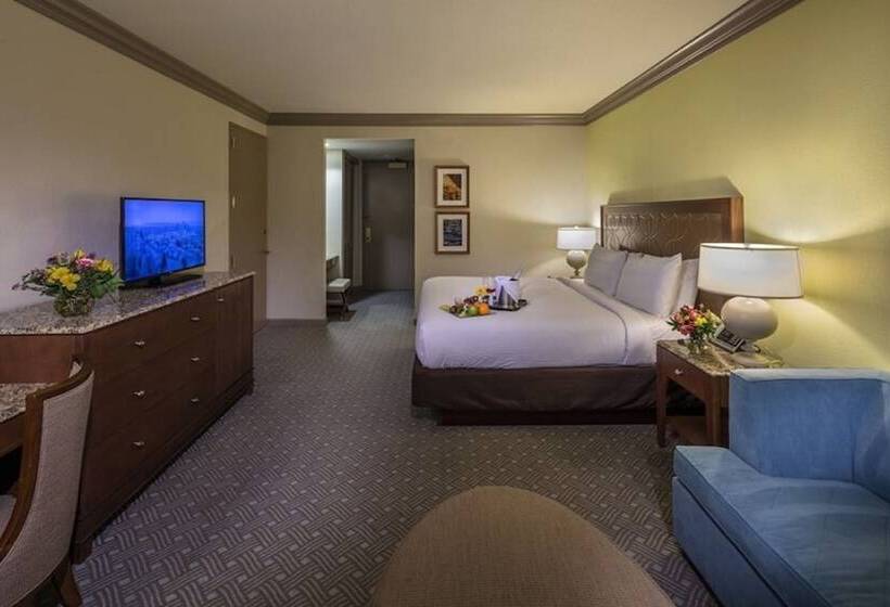 스탠다드 룸 킹사이즈 침대, Moody Gardens Hotel Spa And Convention Center