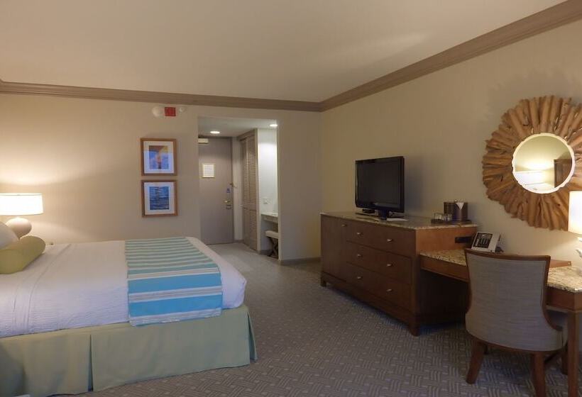 스탠다드 룸 킹사이즈 침대, Moody Gardens Hotel Spa And Convention Center