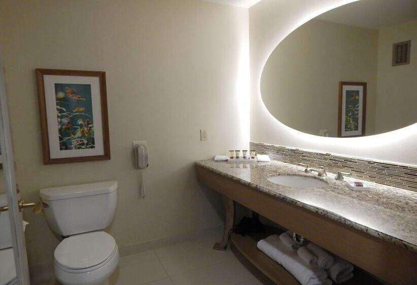 스탠다드 룸 퀸사이즈 침대, Moody Gardens Hotel Spa And Convention Center