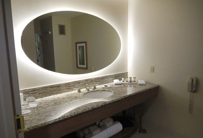 장애인을 위한 스탠다드 룸, Moody Gardens Hotel Spa And Convention Center