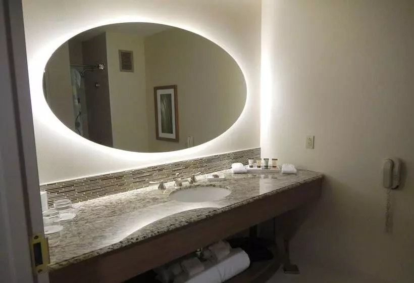 身障者適用スタンダードルーム, Moody Gardens Hotel Spa And Convention Center
