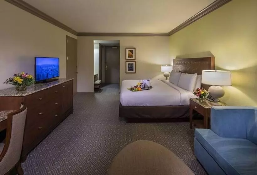 身障者適用キングサイズベッドルーム, Moody Gardens Hotel Spa And Convention Center