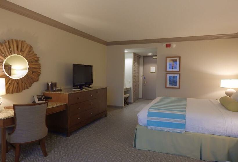 장애인을 위한 킹사이즈 침대 스탠다드 룸, Moody Gardens Hotel Spa And Convention Center