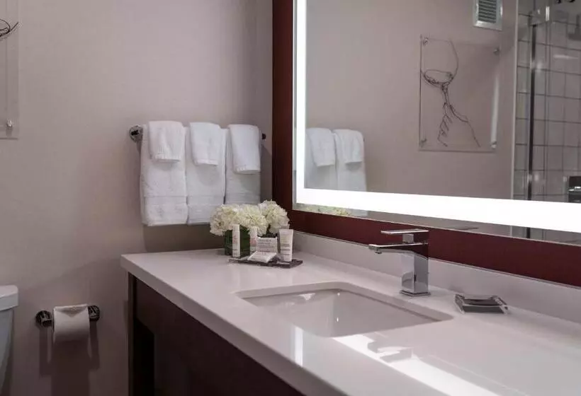 اتاق استاندارد با تخت بزرگ, Napa Valley Marriott Hotel & Spa