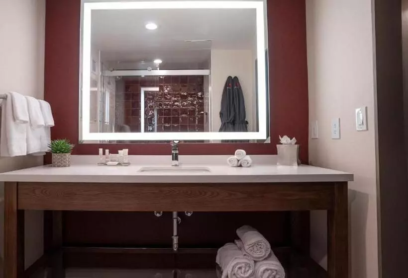 اتاق استاندارد با تخت بزرگ, Napa Valley Marriott Hotel & Spa