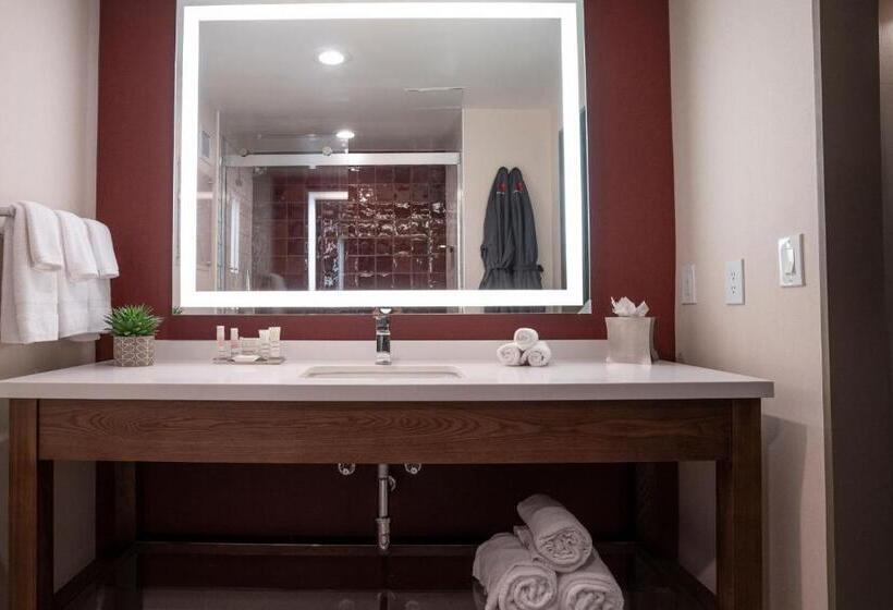 غرفه قياسيه سريرين مزدوجين, Napa Valley Marriott Hotel & Spa