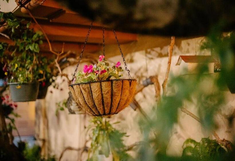 اتاق استاندارد اینتریور, Marina Motel