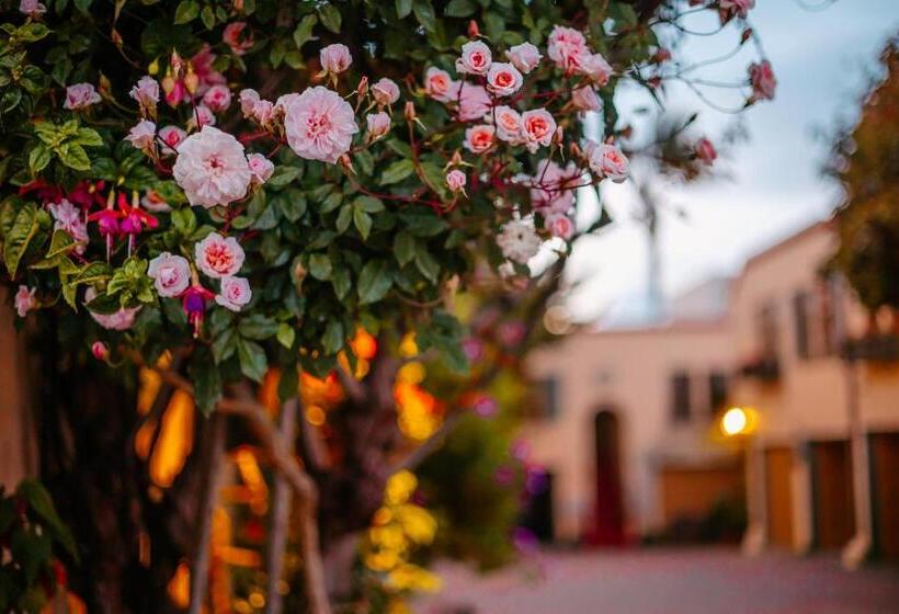 اتاق استاندارد اینتریور, Marina Motel