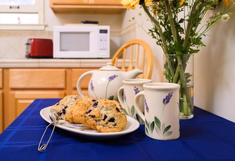 اتاق استاندارد با آشپزخانه, Marina Motel