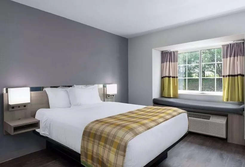 身障者適用スタンダードルーム, Microtel Inn By Wyndham Spartanburg Duncan