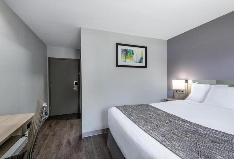 标准间, Microtel Inn By Wyndham Spartanburg Duncan