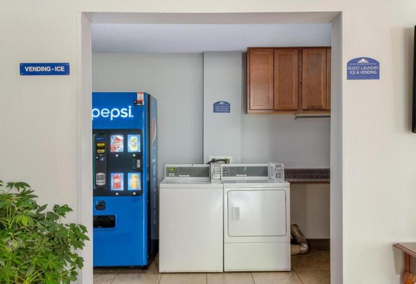 标准间, Microtel Inn By Wyndham Spartanburg Duncan