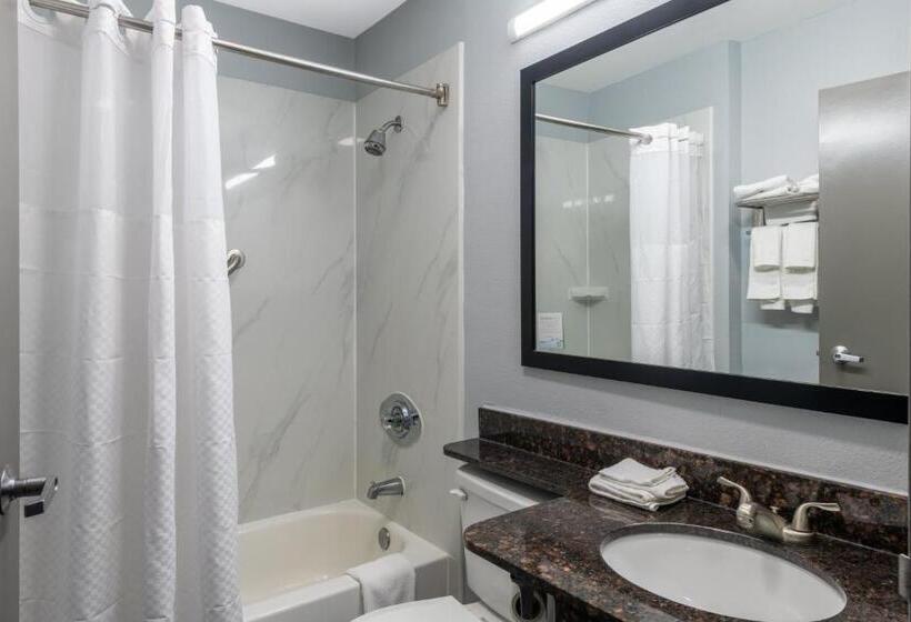 适合残疾人使用的标准间, Microtel Inn By Wyndham Spartanburg Duncan