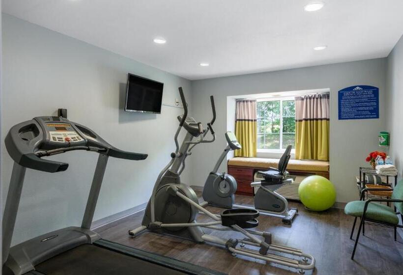 غرفة قياسية لذوى الاحتياجات الخاصة, Microtel Inn By Wyndham Spartanburg Duncan
