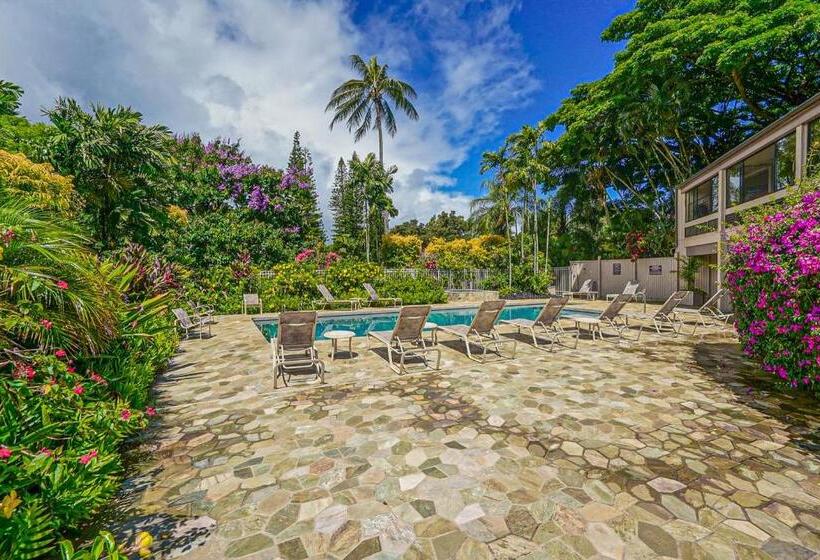 شقة غرفة واحدة, Pali Ke Kua