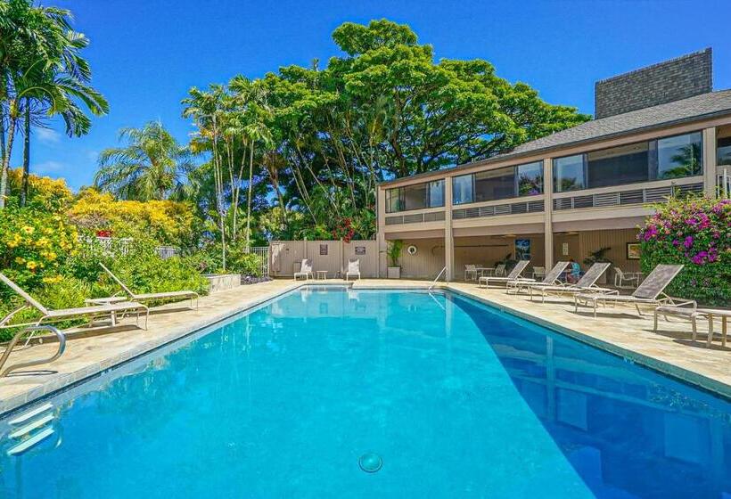 شقة غرفة واحدة, Pali Ke Kua