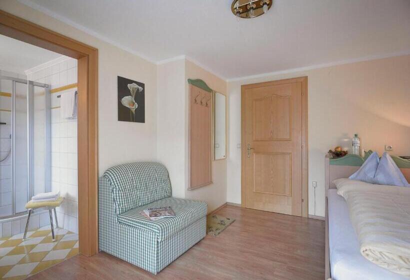 标准单人间, Pension Regina