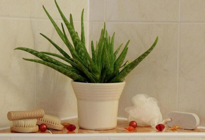 バルコニー付２ベッドルームアパートメント, Gästehaus Regina