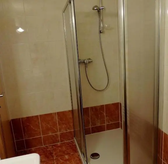 آپارتمان 1 خوابه با بالکن, Gästehaus Regina