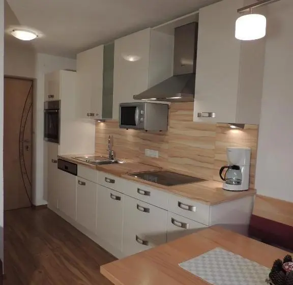 آپارتمان 1 خوابه با بالکن, Gästehaus Regina