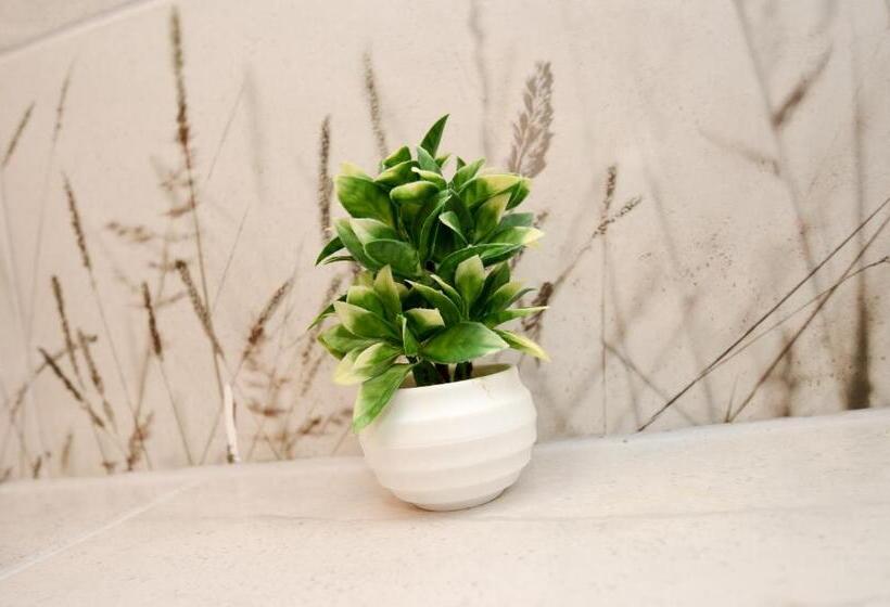 اتاق استاندارد با چشمانداز دریا, Guesthouse Grotta Di Nicola