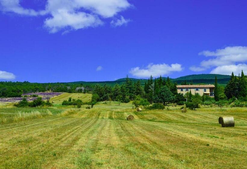 חדר סטודיו סטנדרד, La Bastide Du Claus   Vitaverde