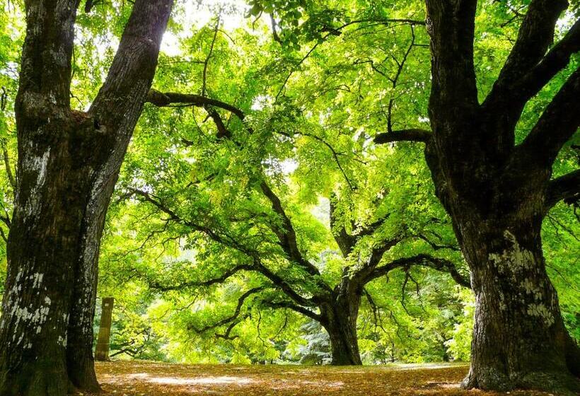 דירת חדר סופריור, La Bastide Du Claus   Vitaverde