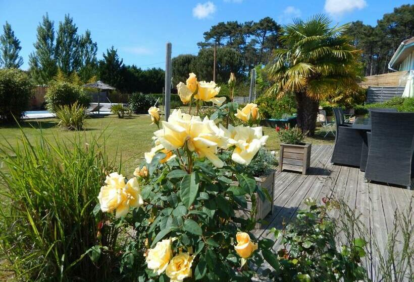 غرفة قياسية, Le Mas Des Landes