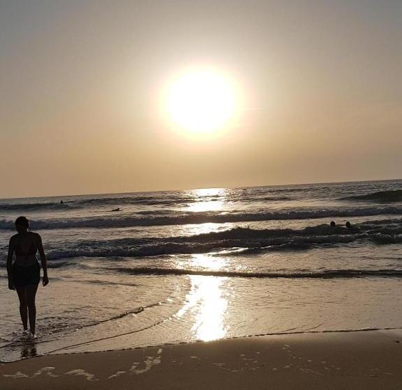 غرفة قياسية, Le Mas Des Landes