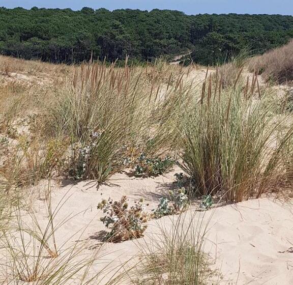 شقة غرفتين, Le Mas Des Landes