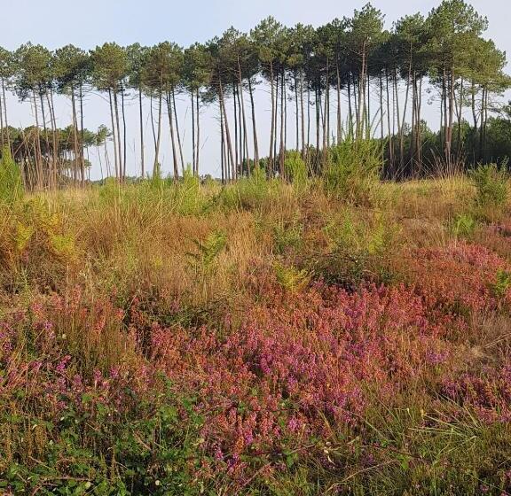 Номер Стандарт Вид на Сад, Le Mas Des Landes