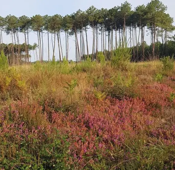 ガーデンビュースタンダードルーム, Le Mas Des Landes