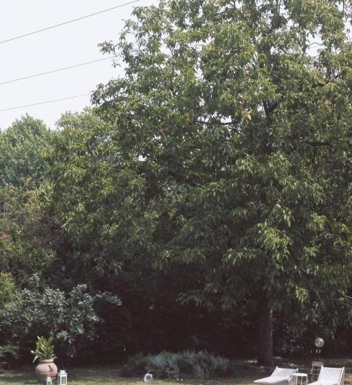 غرفة قياسية سرير كينج, Locanda San Martino