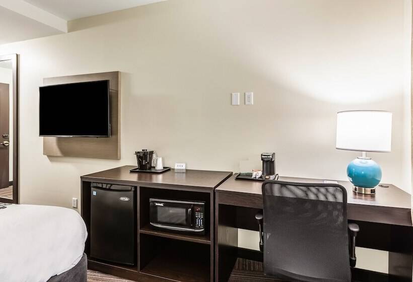 Номер Стандарт 2 Двуспальные Кровати, Van Wyck Hotel & Suites Near Jfk Airport