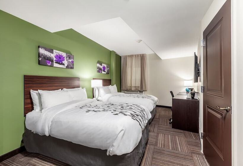 اتاق استاندارد با 2 تخت دوبل, Van Wyck Hotel & Suites Near Jfk Airport