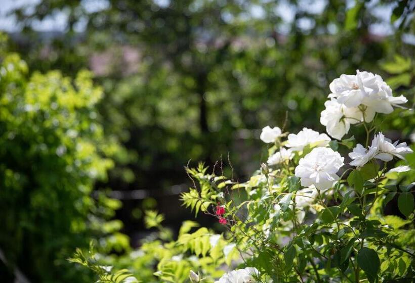 חדר סטנדרט, La Roseraie