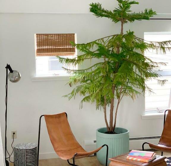 キングサイズベッドのスーペリアルーム, The Trail In Adams Berkshires Art