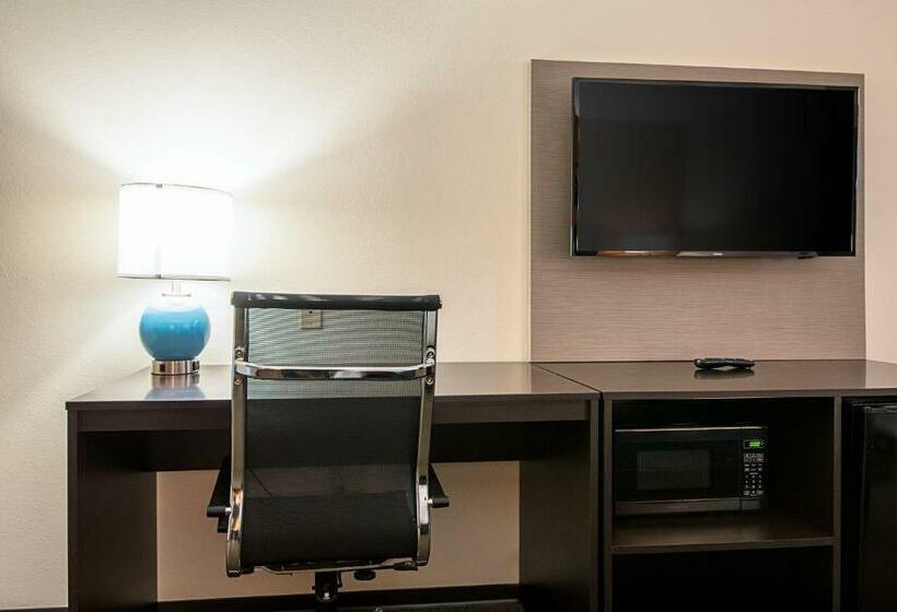 Стандартный Номер Кровать Кинг, Sleep Inn Geismar  Gonzales