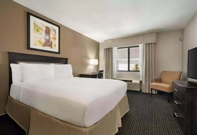 اتاق استاندارد با تخت بزرگ, Baymont By Wyndham Elko
