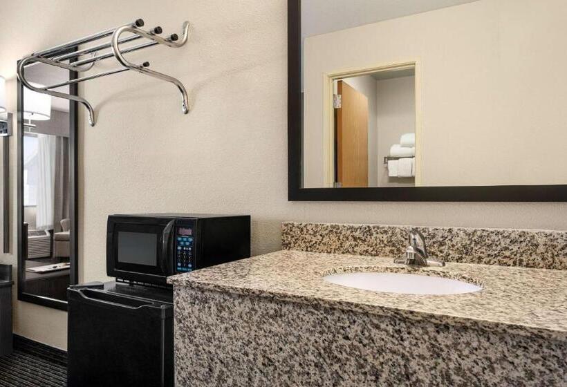 חדר דלוקס מותאם לאנשים עם מוגבלויות, Baymont By Wyndham Elko