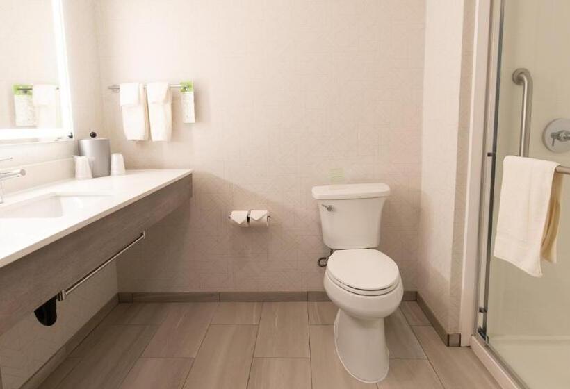 Стандартный Номер Кровать Кинг, Holiday Inn Express Oakdale, An Ihg