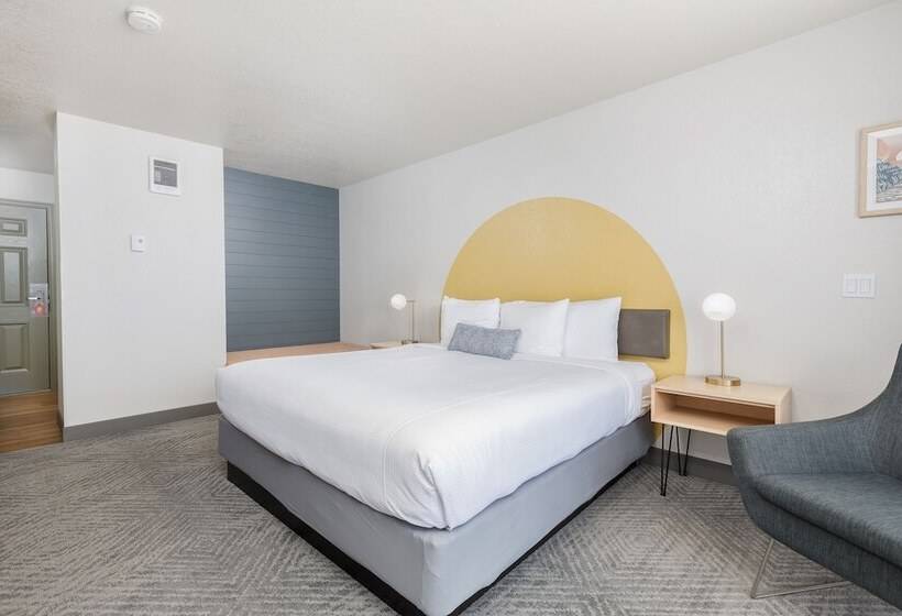 オーシャンビューデラックスステューディオ, Surfland