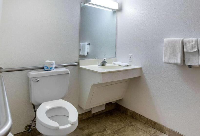 Стандартный Номер Кровать Кинг, Rodeway Inn Auburn Hills   Detroit