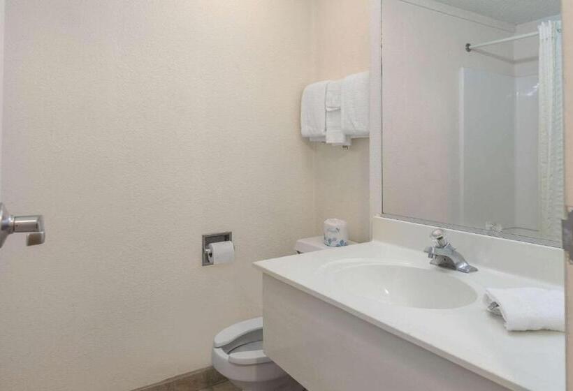 غرفة قياسية سرير كينج, Rodeway Inn Auburn Hills   Detroit