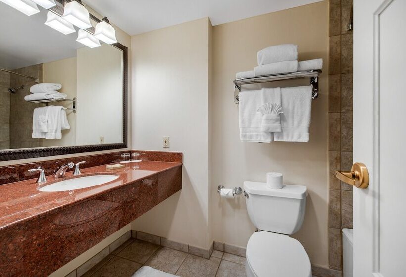 غرفة ديلوكس, Omni Interlocken