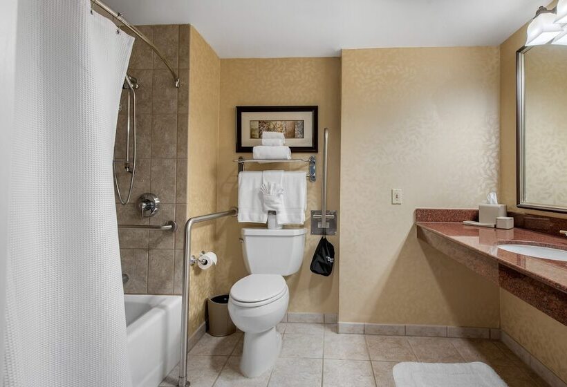 غرفة ديلوكس لذوى الاحتياجات الخاصة, Omni Interlocken