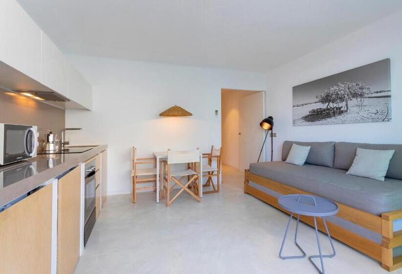 آپارتمان 1 خوابه, Apartamentos Roca Plana