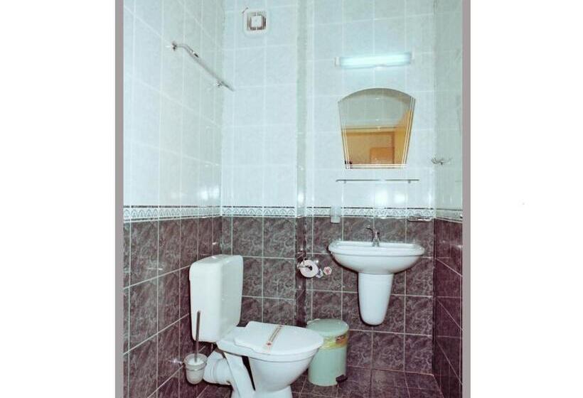 Трехместный Номер Стандарт с Балконом, Apart