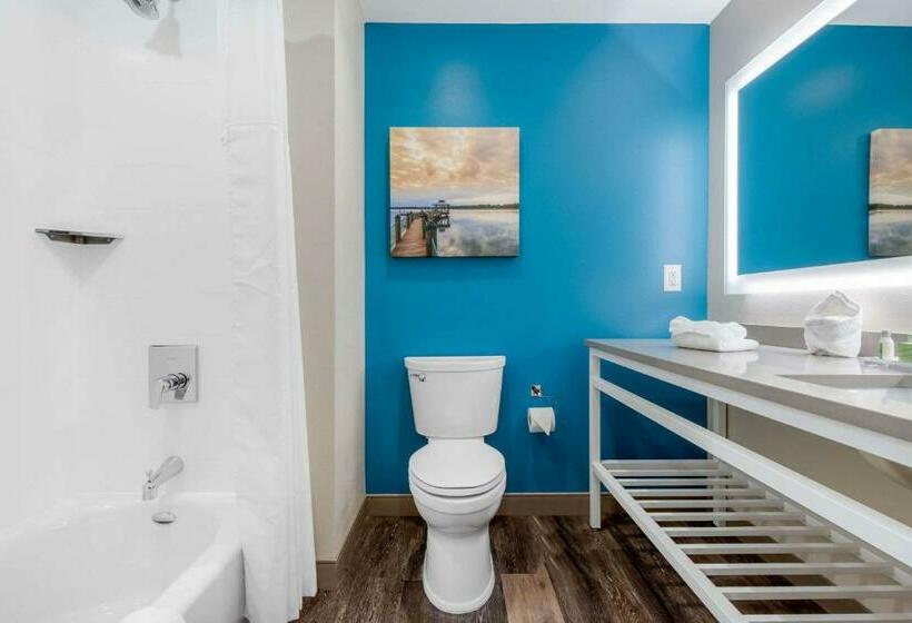Номер Стандарт 2 Двуспальные Кровати, Cambria Hotel Summerville   Charleston