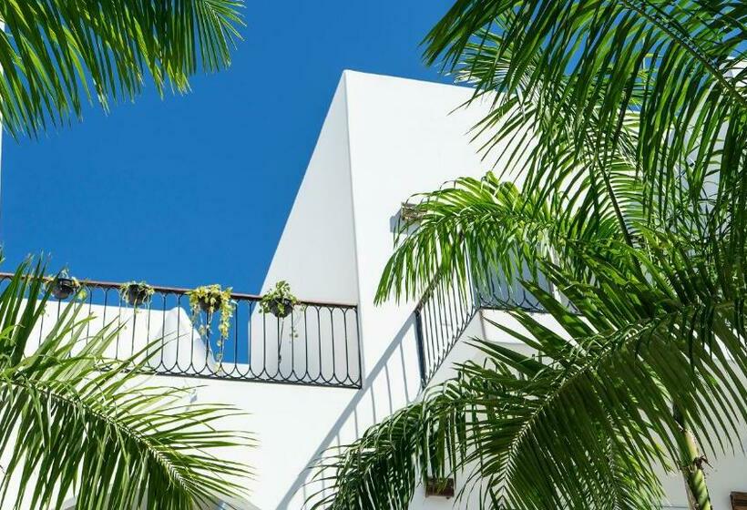 سوئیت با بالکن, Mediterraneo Hotel Tulum